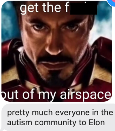 Gif of Iron Man saying, "Get the f*** out of my airspace." Below, a text that says, "pretty much everyone in the autism community to Elon."